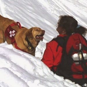 Meet your Posher, Joanne